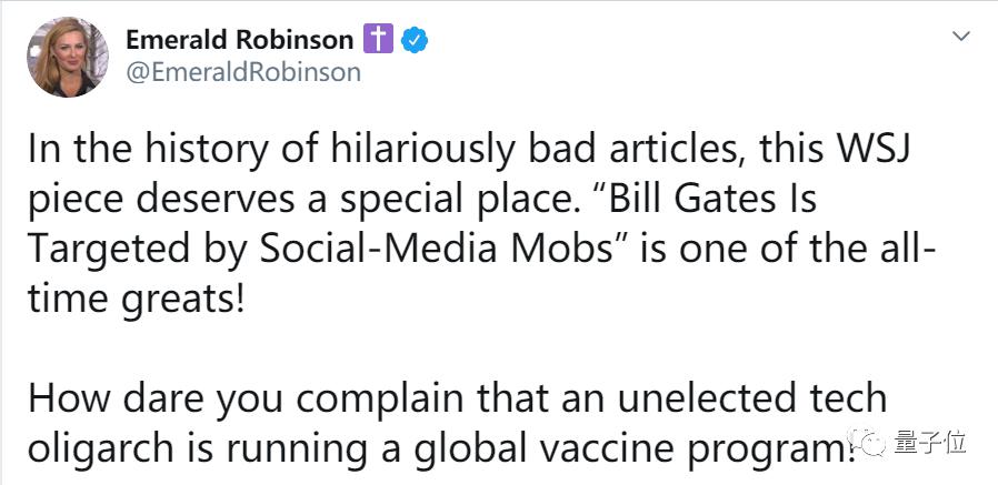 杀死比尔盖茨：美国有31万脑子被撞坏的人，认为