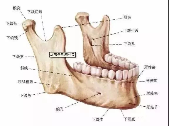 12组口腔临床数据——牙医必备