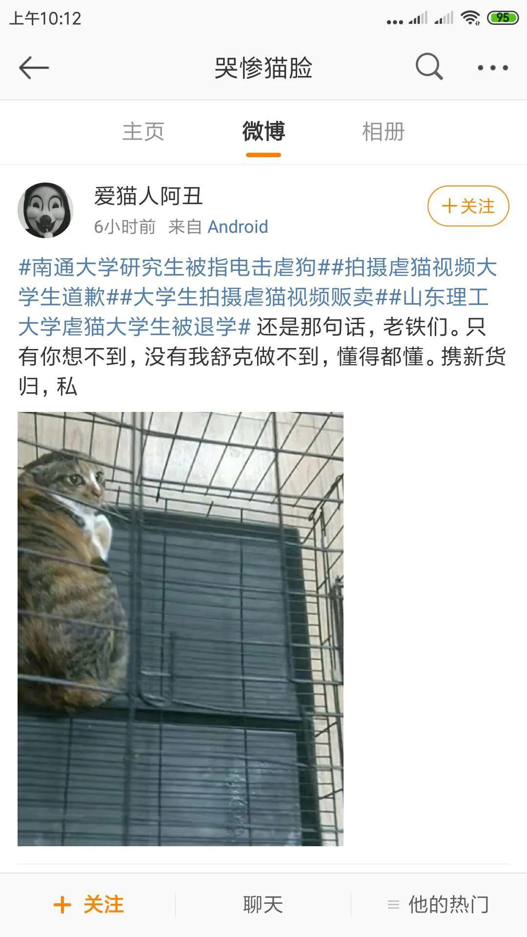 我会给你们准备1000只猫尸体!——虐猫者范源庆