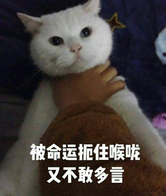『孩子』家长得记住这些小症状，是生病预兆为防止孩子因甲醛患白血病