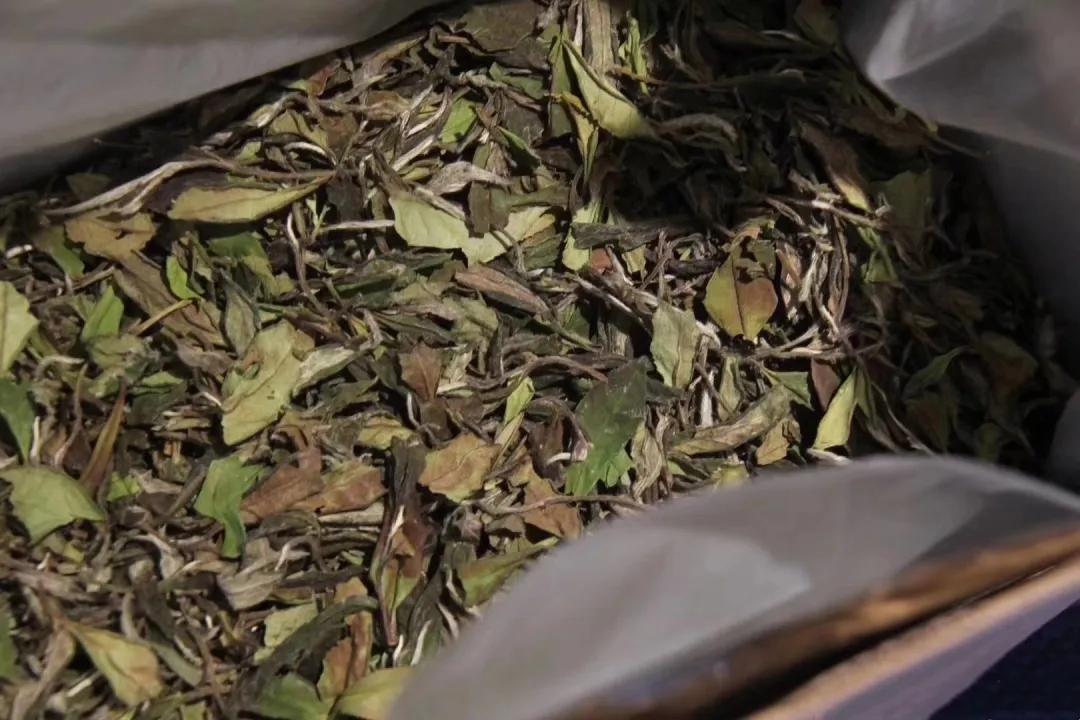 白茶有青味是正常的吗看白茶普洱茶绿茶客分别怎么说