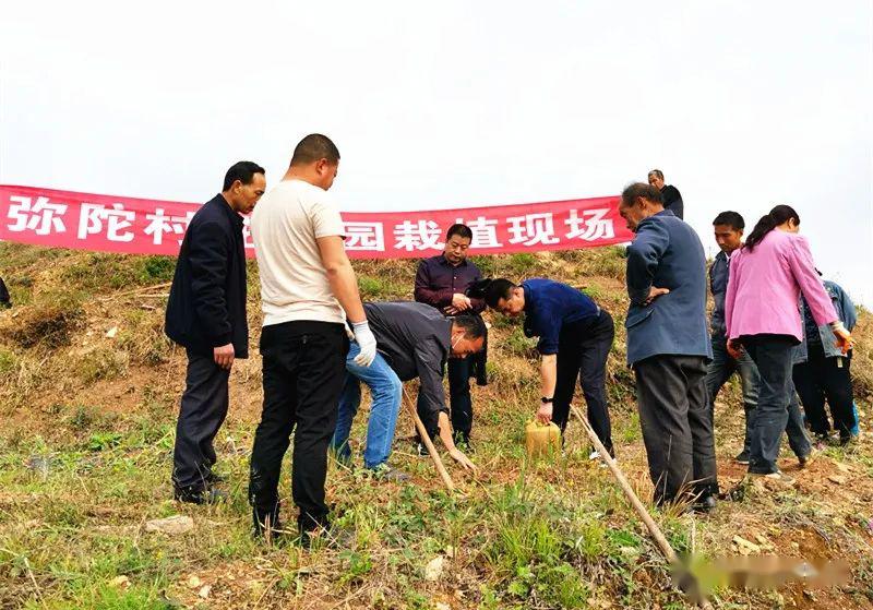 南郑高台镇人口多少_南郑区大河坎镇规划图