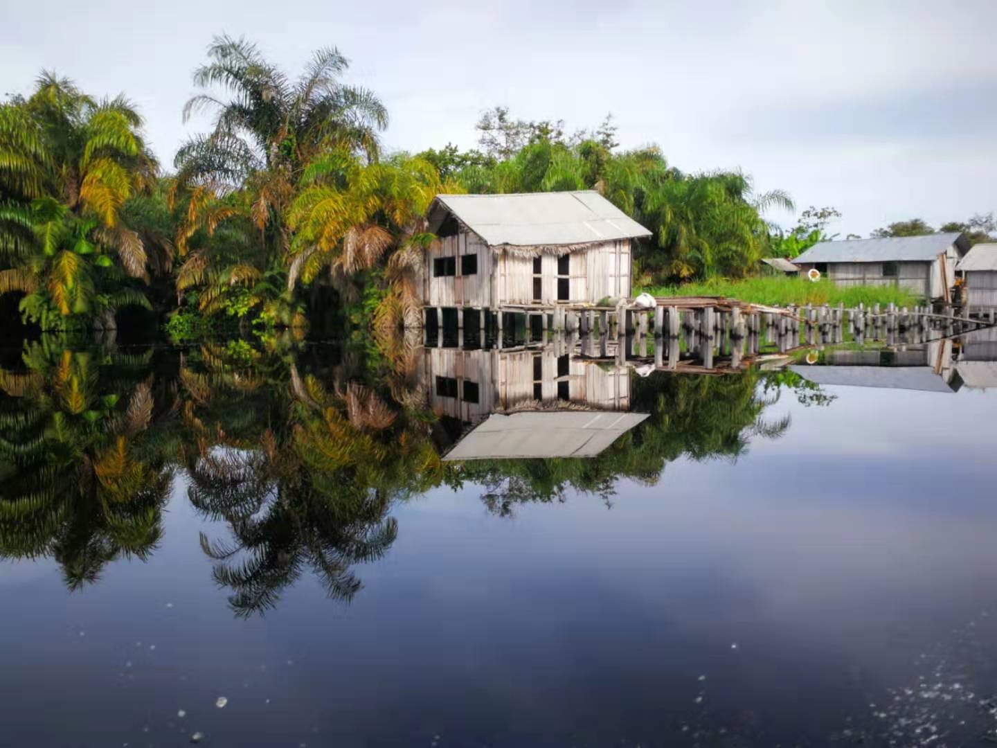 加纳淘金故事:弟弟枪杀哥哥,航班停飞金价“跳楼”