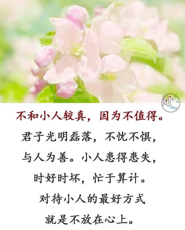 04e31b9ba48c485bb405cbcc7b611ead.jpeg