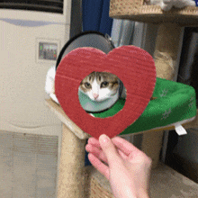 05b79e5438814d20b695acc8fe68c69c.gif