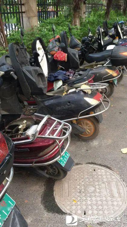 13abdf376a35486fbaaefd7de119f073.jpeg