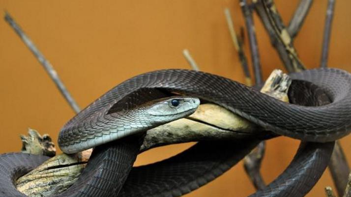 1ac2684c1ad441df8b23ab06ce21238a.jpeg