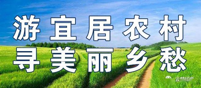 云梦gdp_经济 云梦园的书摊 孔夫子旧书网(2)