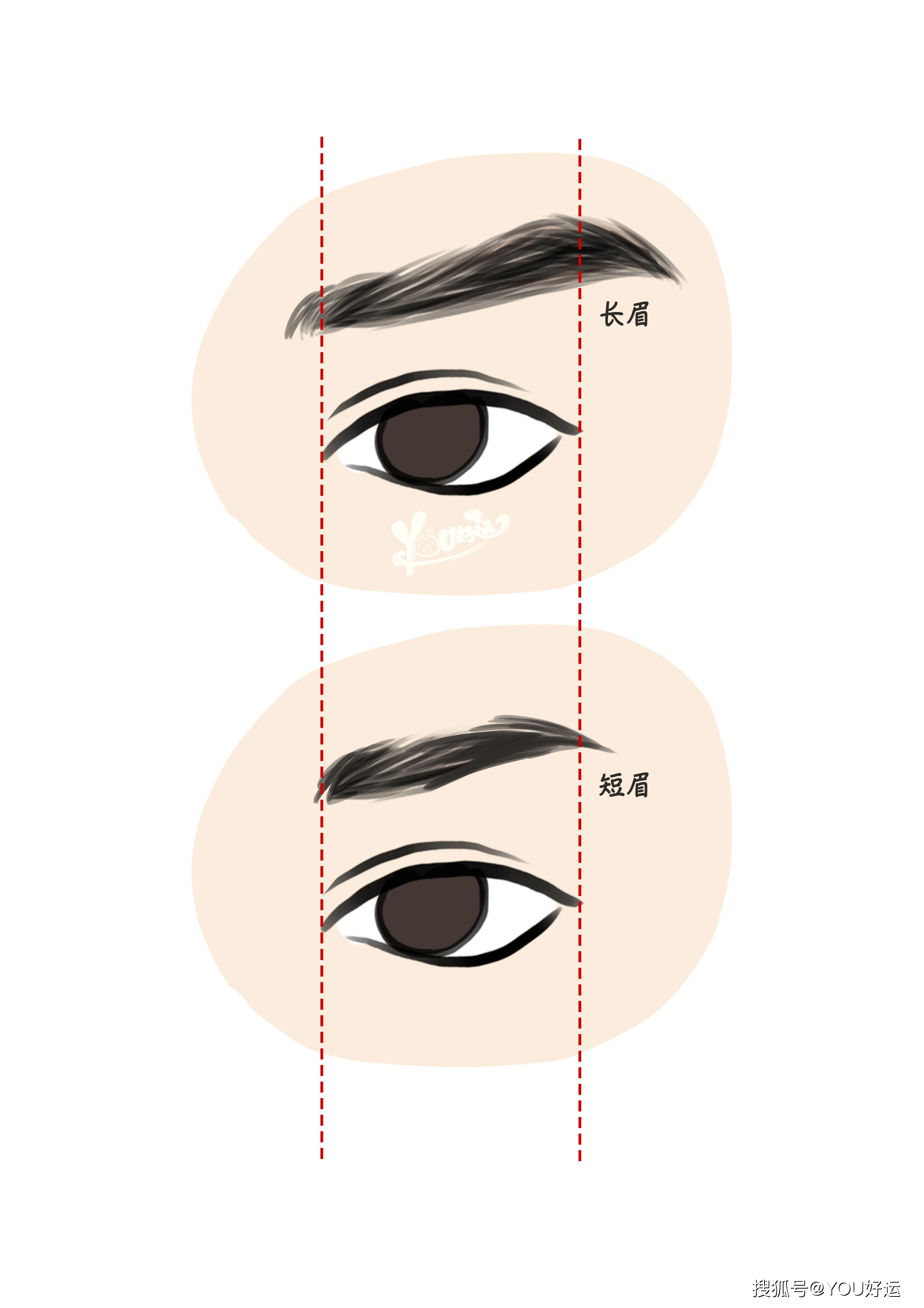 眉毛没有长过眼宽就是短眉.