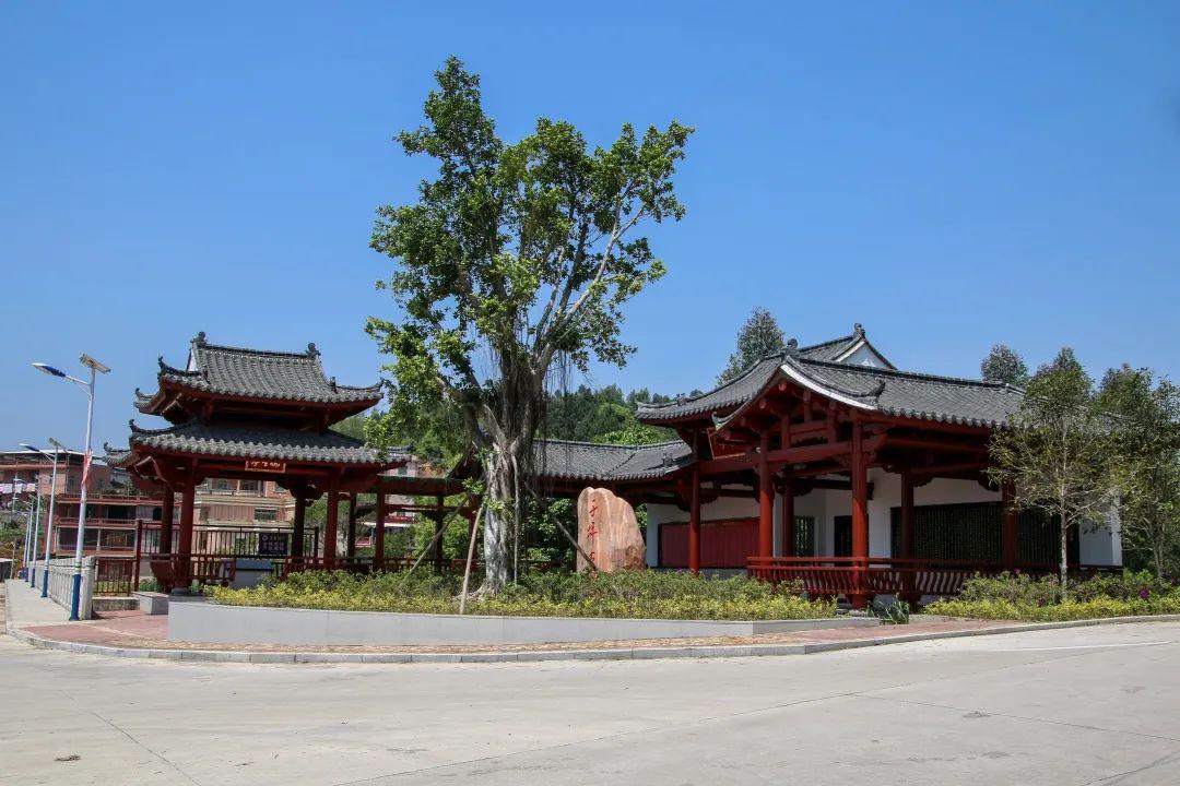 不一样的大庭村