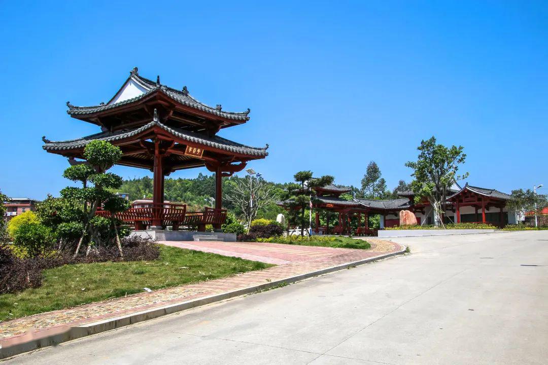 不一样的大庭村