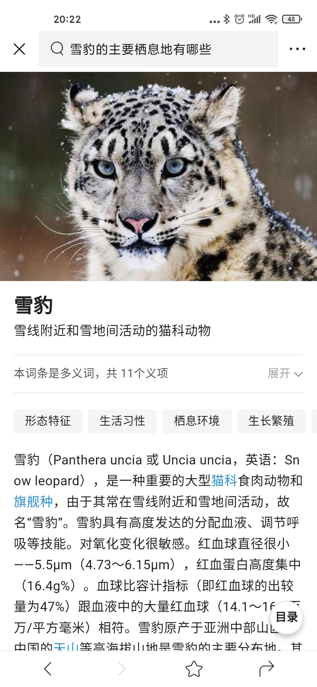 今日头条新产品上线，百度迎来最大对手了吗？