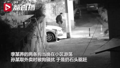 男子被狗骚扰扔石头驱赶，竟被狗主人捅死！