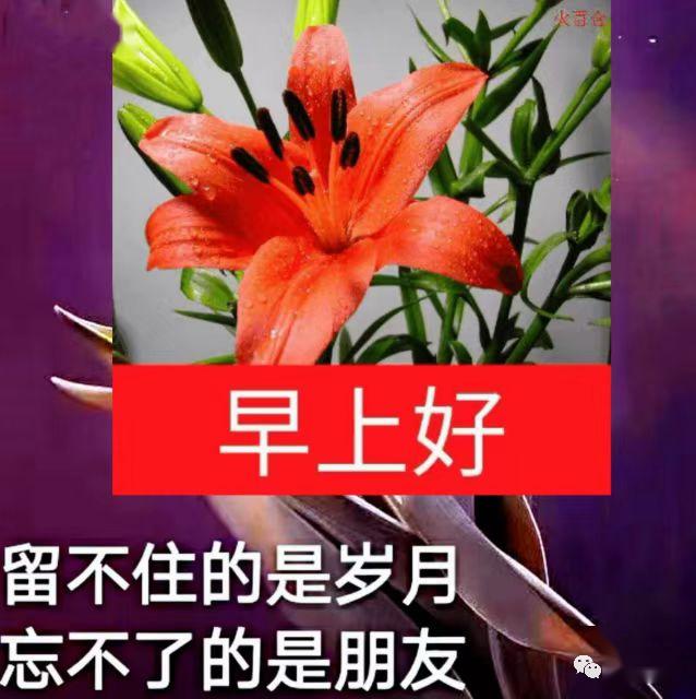 21年早上好最新图片,中老年早上好最新图片 4月21日最新早上好特漂亮的动态祝福图片!