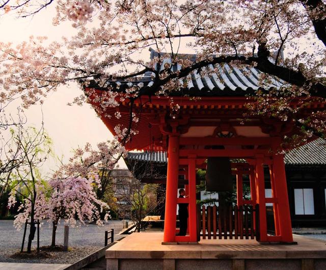 为莲华王院的正殿,日本国宝,京都最精彩的寺院建筑.