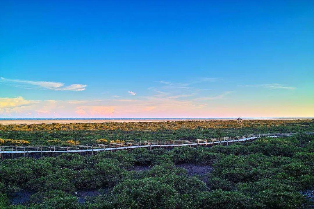 景点4:北海金海湾红树林生态旅游区