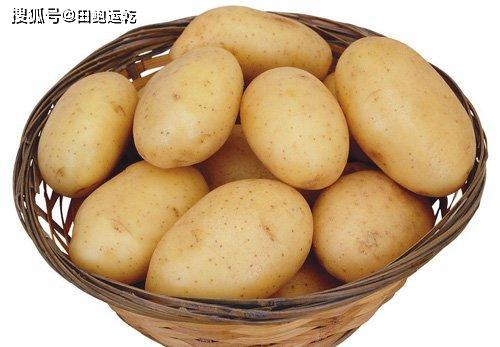 怎么做出软糯糯的土豆 6983b3c0d6cf45a98bf186a7dd63f430.jpeg