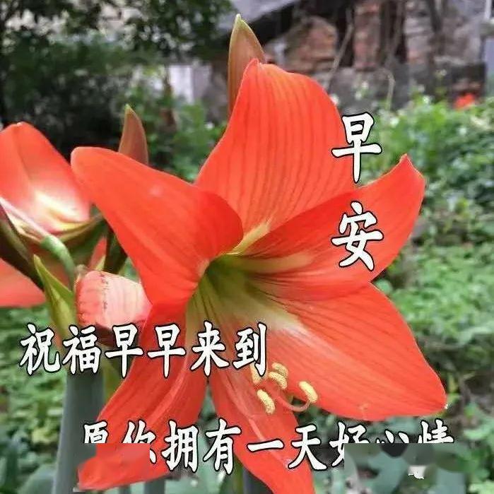 4月21日最新早上好特漂亮的动态祝福图片!