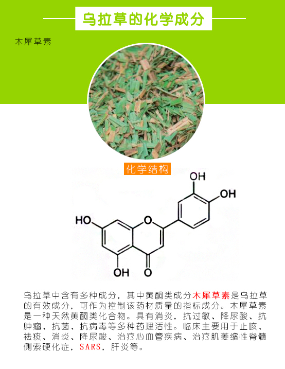 乌拉草中含有的化学成分木犀草素