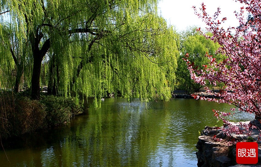 溪水映照山与树,桃花朵朵心相许.垂柳青青迎风舞,刘歌