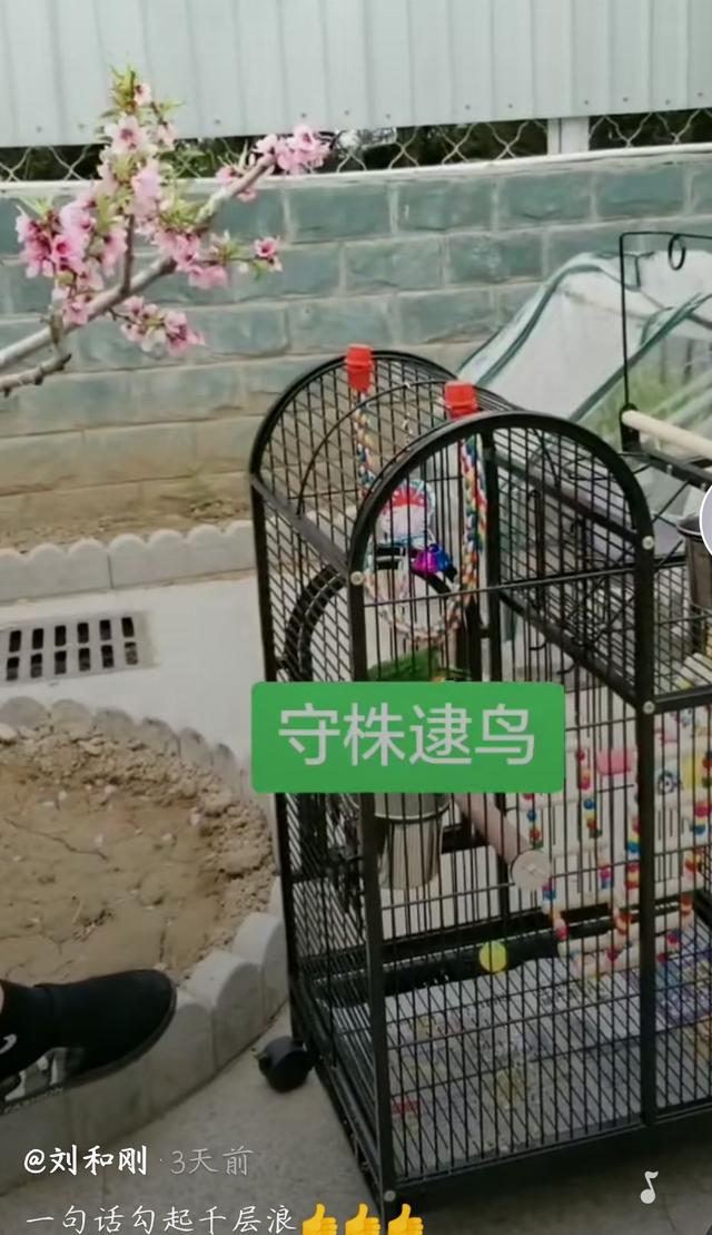 刘和刚近况曝光，住自建小楼装修典雅，头发花