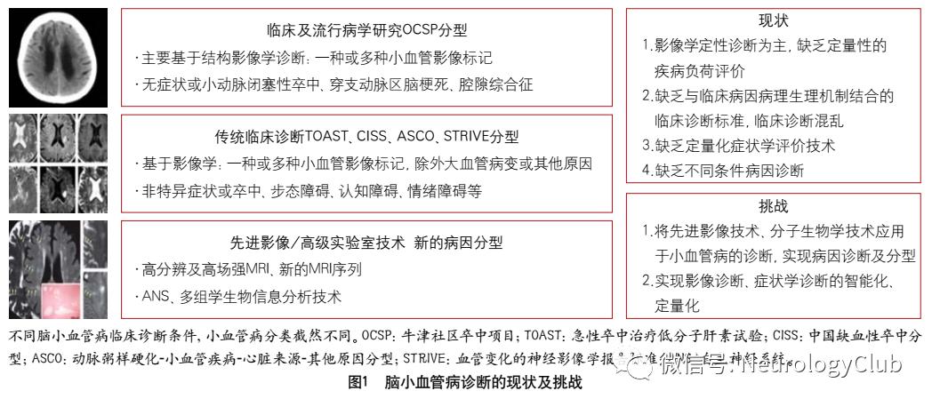 专家述评中国脑小血管病的临床研究优先发展战略规划