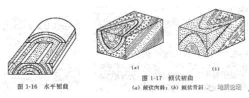 (4) 平卧褶曲:轴面水平或近于水平,两翼岩层也近于水平,一翼层位