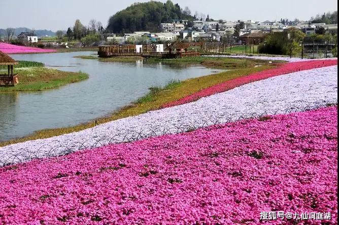 【"疫"后花开 迈向诗和远方】我在安顺等你
