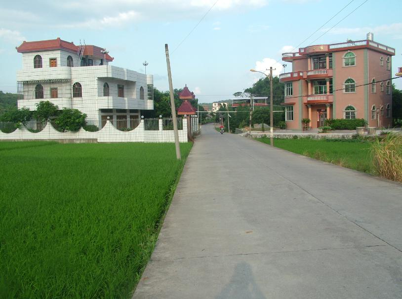 不一样的大庭村