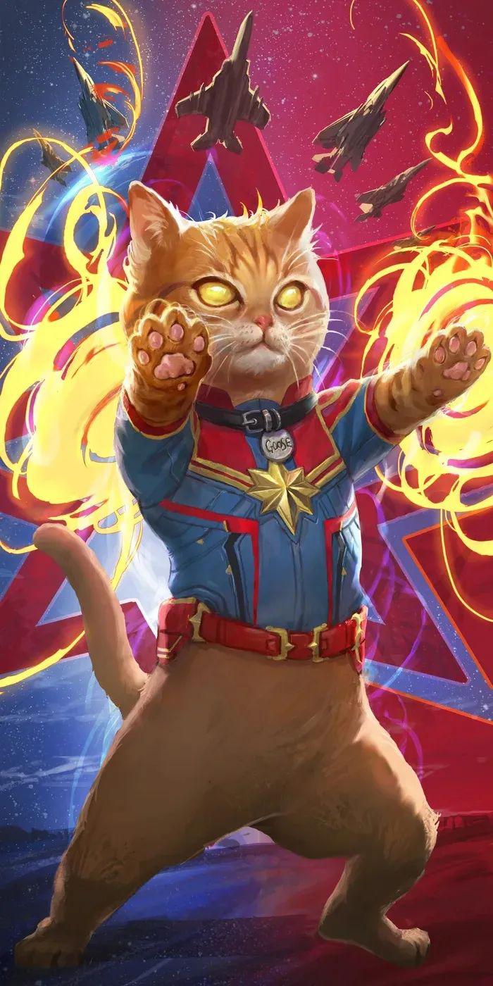 3,最后一张复仇者联盟的图片,我们给个人——惊奇队长……的猫猫,作者