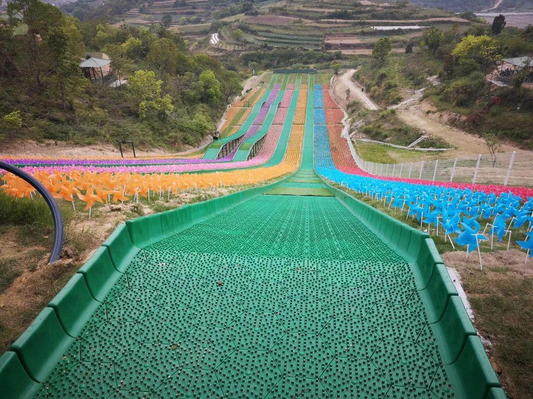 去趟"后岭花开",为城东发展乡村旅游拓展思路