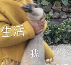 百度网盘两次被骂上热搜，到底冤不冤？