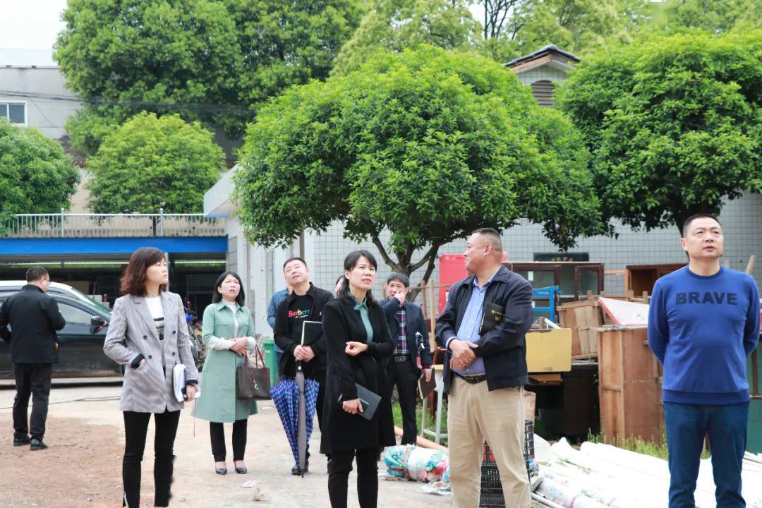 长龙街道党工委书记覃芳率队前往湘峰村开展村级工作调研