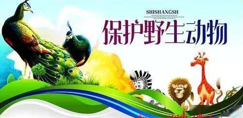 天津航标处团委关于保护野生动物拒食野味的倡议书