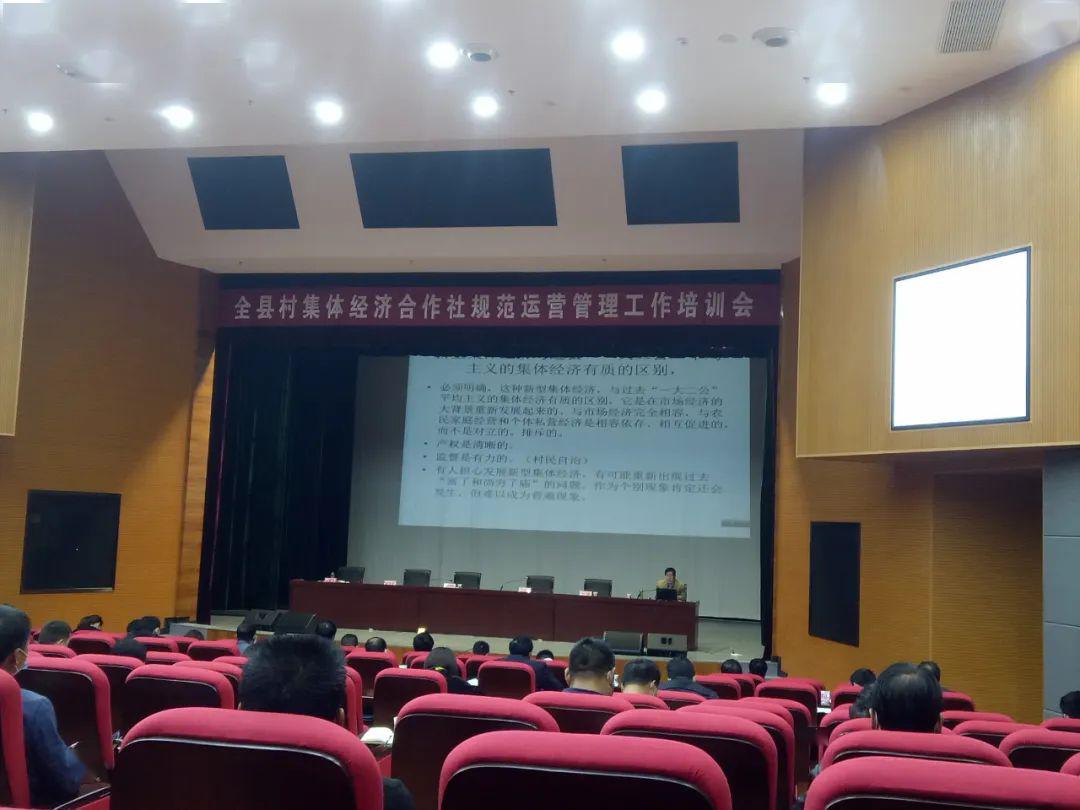 什么是集体经济合作社 bd3c513c05ba44f7afd8d5d32318fbfb.jpeg