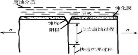 06应力腐蚀的裂纹多从表面腐蚀坑底部或点腐蚀小孔开始,而裂纹的传播