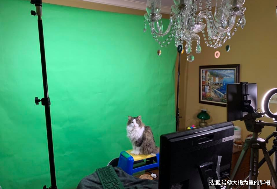 ca910ddeccd547ed94100019ecb1b58a.png