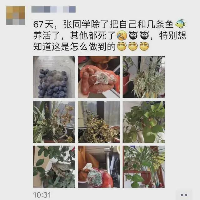 【房门】网友笑疯，女护士援鄂67天回家打开房门一瞬间惊呆