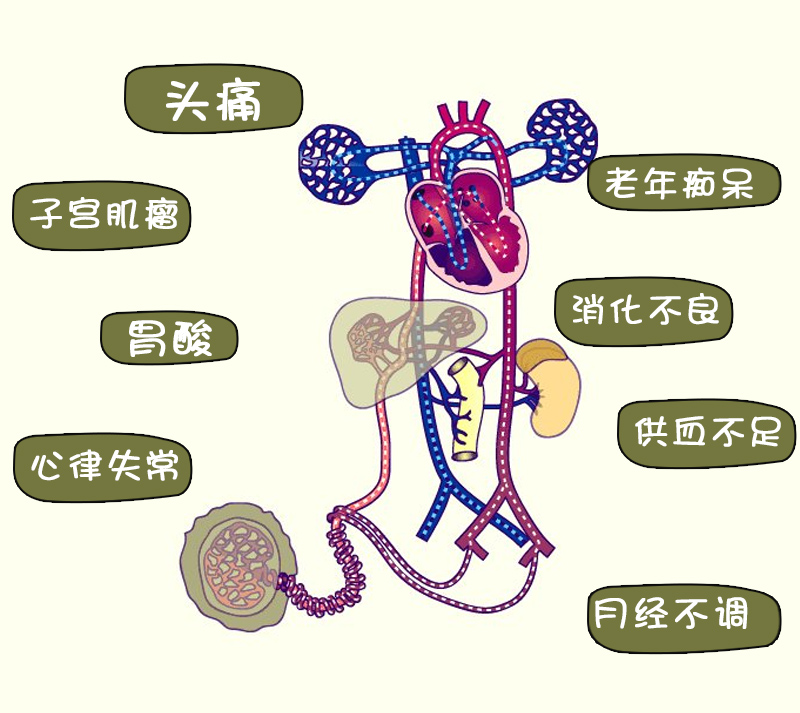 矿疗帮您打通微循环,提高健康