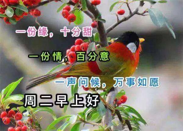星期二微信最新早安祝福语配图片 早晨问候朋友的祝福