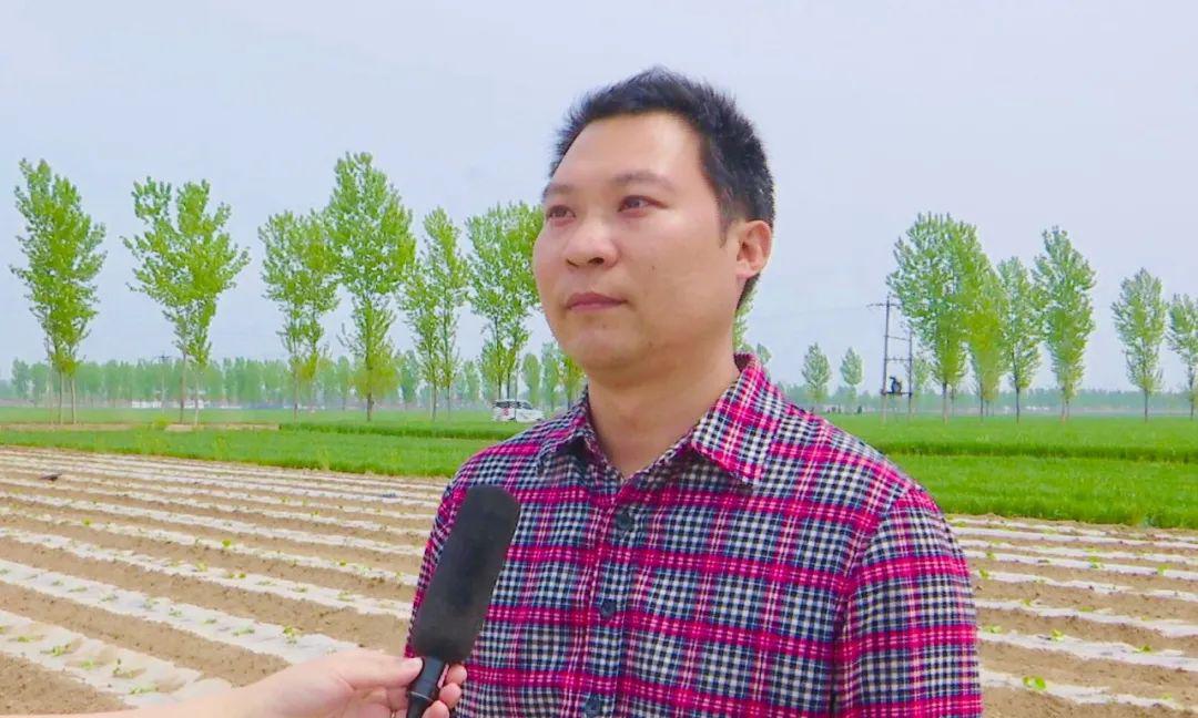宁晋东汪镇一村一品连成串铺就红火致富路