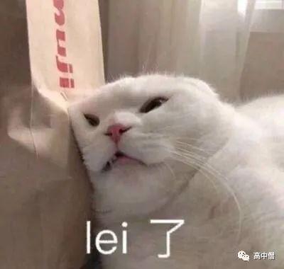 f7c71d27a46d4a00a2b65e607a9da830.jpeg