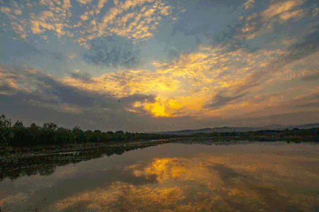 4月17日,夕阳下的河南三门峡黄河湿地,水面清澈,天光云影尽收,宛如