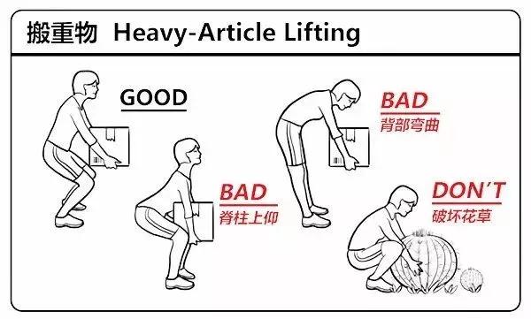 错误方法一:弯腰搬重物