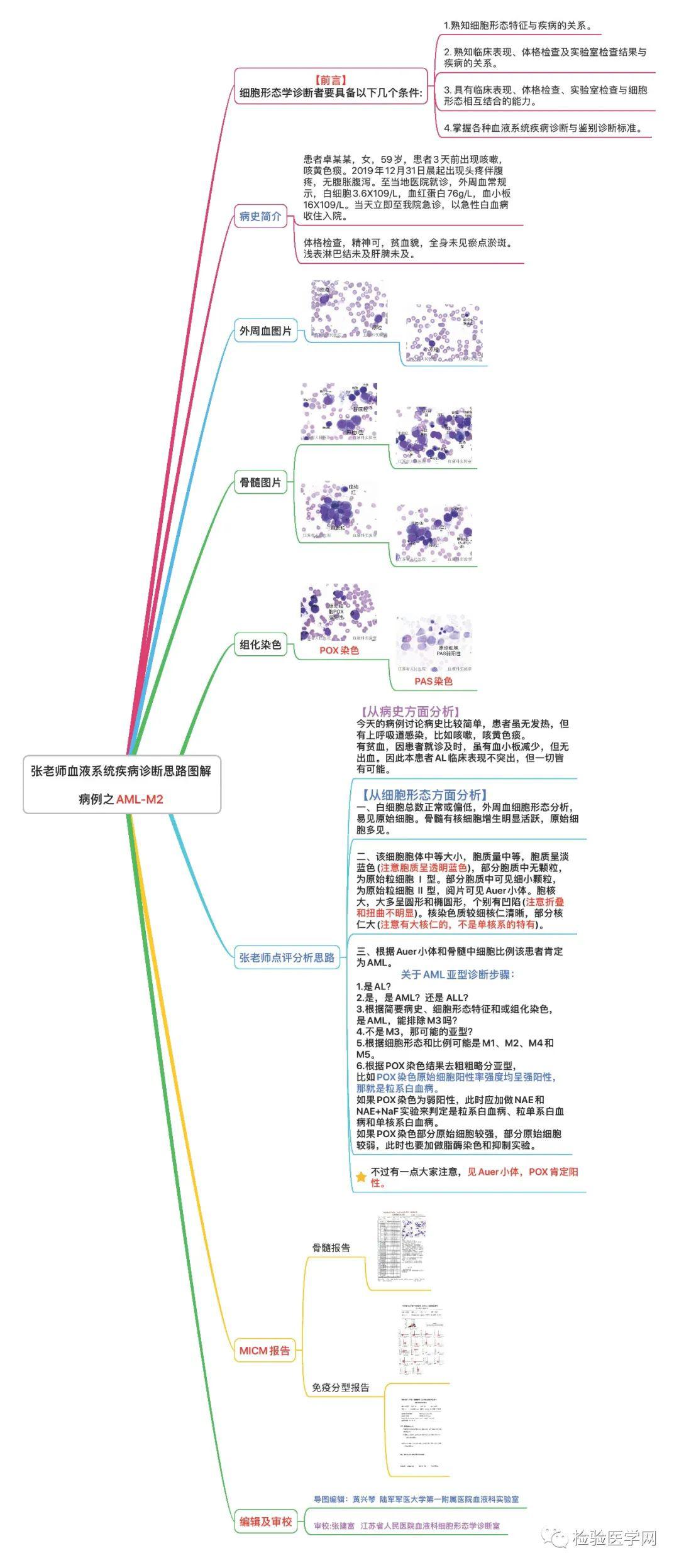 思维导图在手,血液病诊断无忧