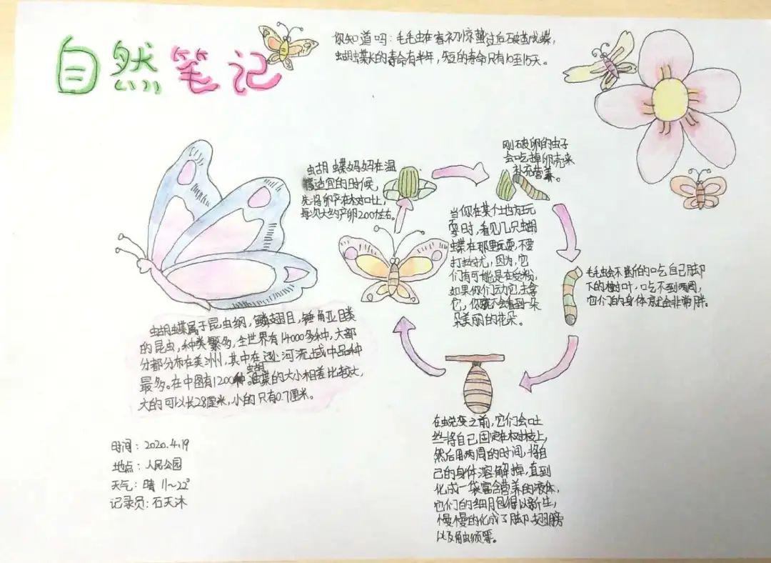 自然笔记我与自然的相遇第一波入围作品