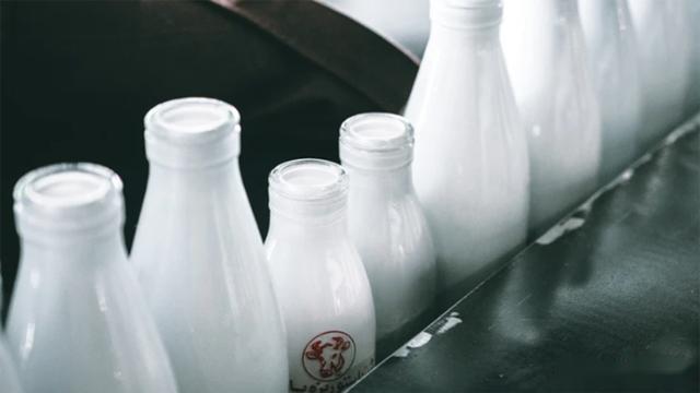 美国疫情为什么要倒牛奶