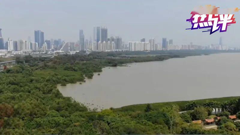 央视点名“环评造假”,项目已暂停!建议追究刑责,并终身禁止从业