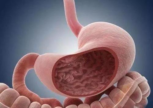 怎么让自己快速胃疼 2a44e85491b54a3687c4ea83190a1b80.jpeg