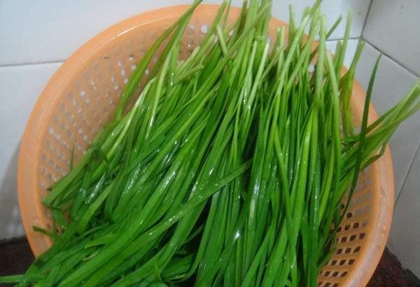 经期可以吃韭菜吗 来自搜狐网